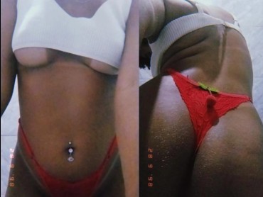 Novinha 